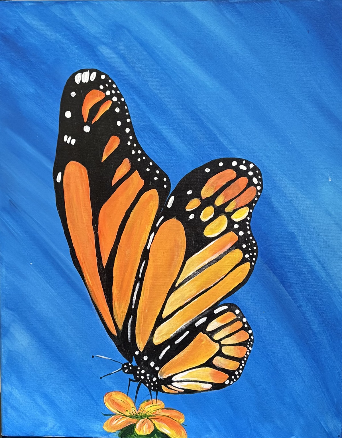 butterfly 5 8 25