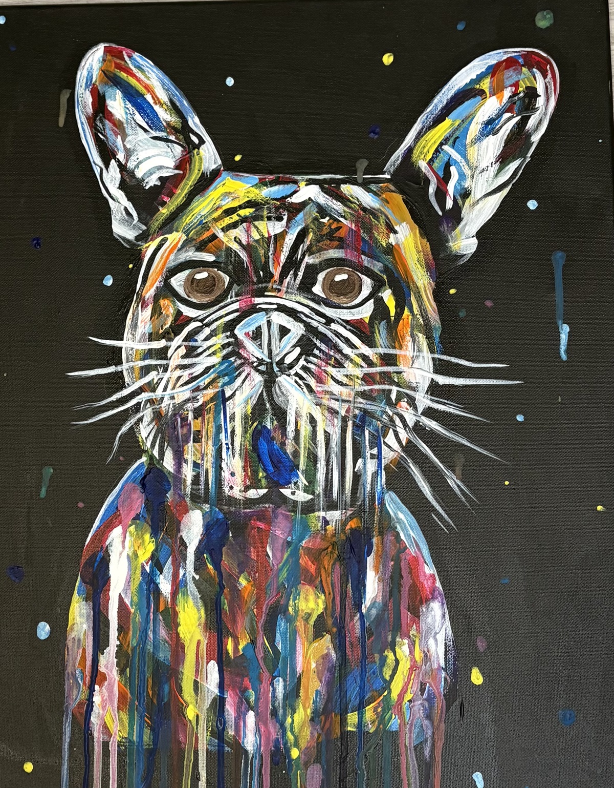 french bulldog